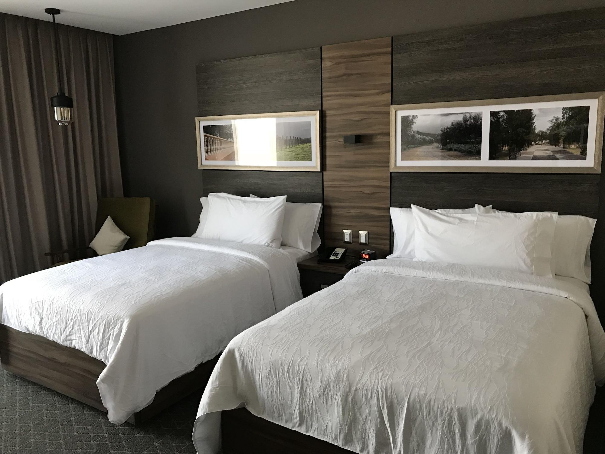 Hilton Garden Inn Aguascalientes Exterior photo